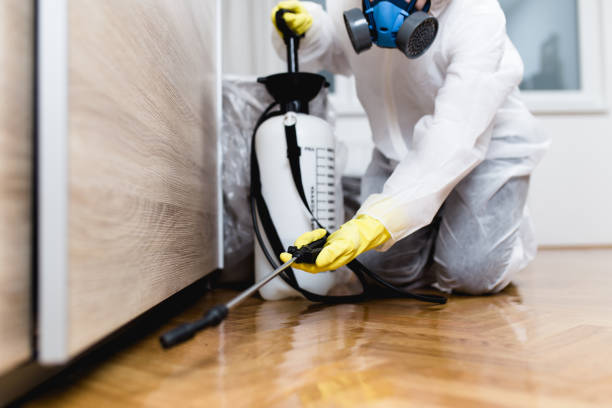 Insect Control in North Haledon, NJ