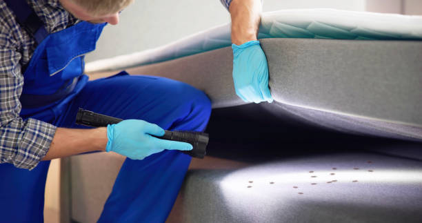 Reliable North Haledon, NJ Pest Control Solutions