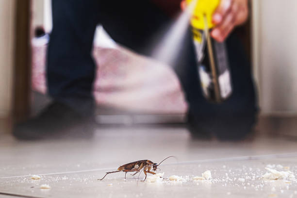 Best Wildlife Control Services  in North Haledon, NJ