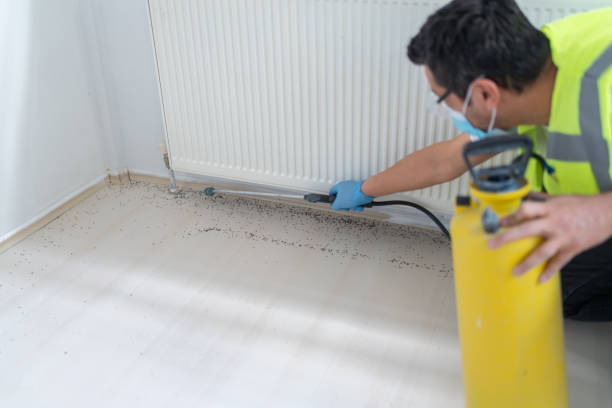 Best Residential Pest Control  in North Haledon, NJ