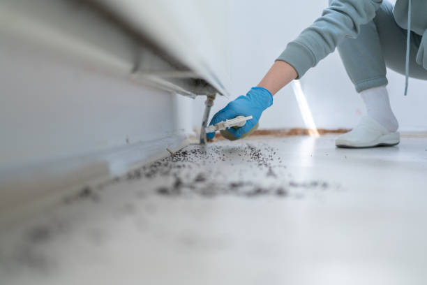 Best Termite Control Services  in North Haledon, NJ