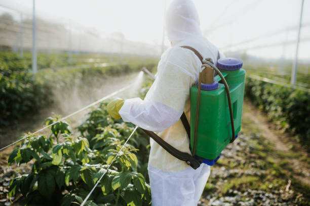 Best Flea Control Services  in North Haledon, NJ